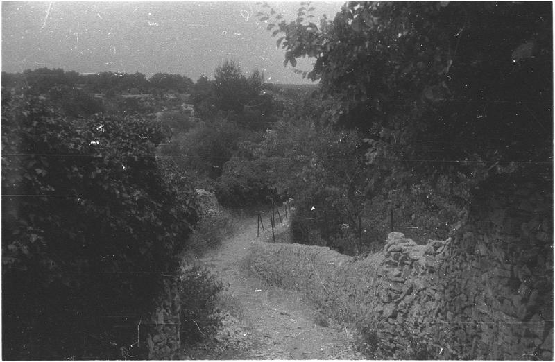 Vue d'un chemin prise de la tour