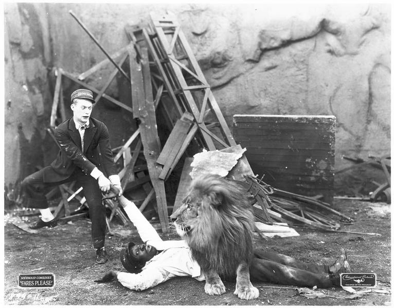 Un homme (A. St. John) sauvant une personne attaquée par un lion