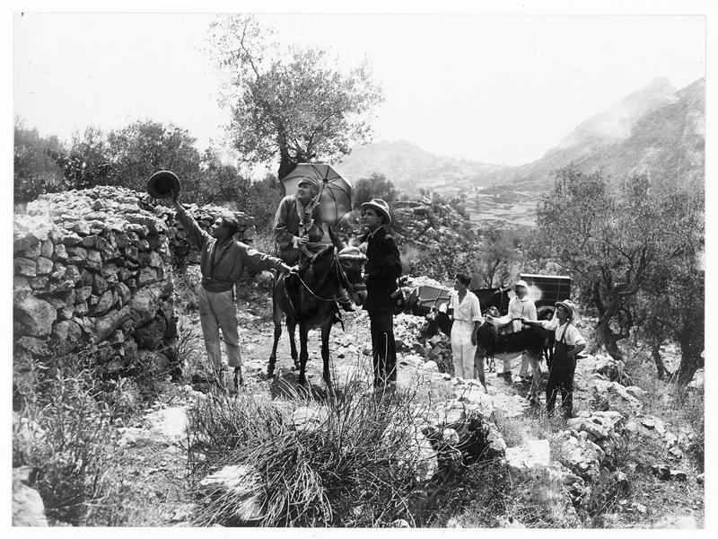 Transport à dos d'âne