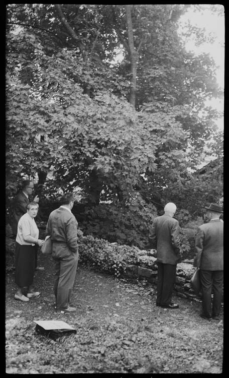 Personnes examinant les vestiges dans le jardin