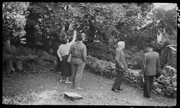 Personnes examinant les vestiges dans le jardin