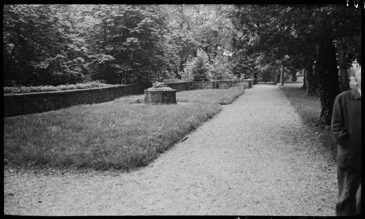 Parc, promenade