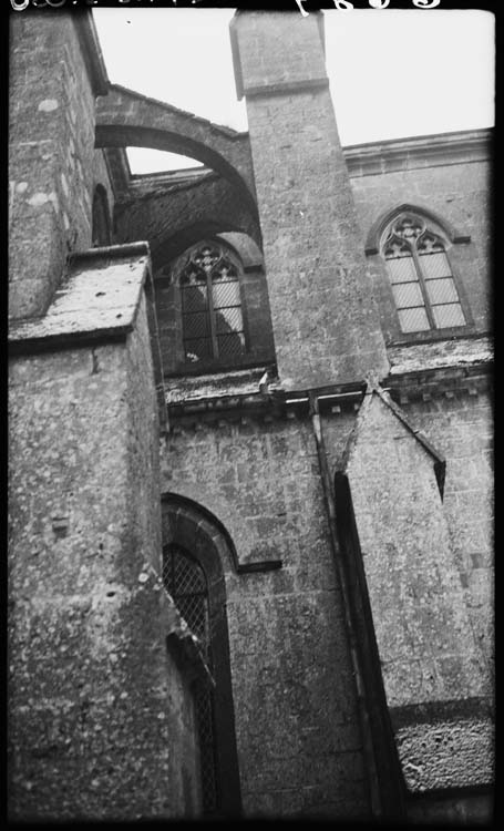 Eglise abbatiale : bas-côté nord, détail des arcs-boutants