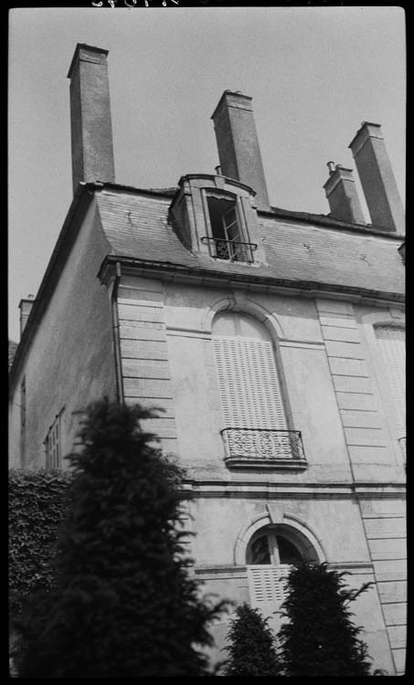 Façade sur jardin, détail