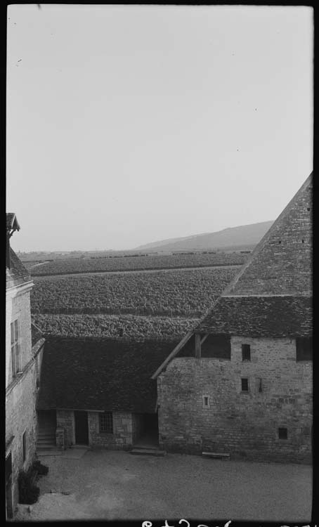 Domaine viticole vu du château