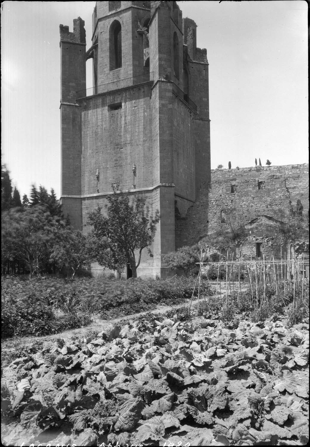 Clocher pris du potager