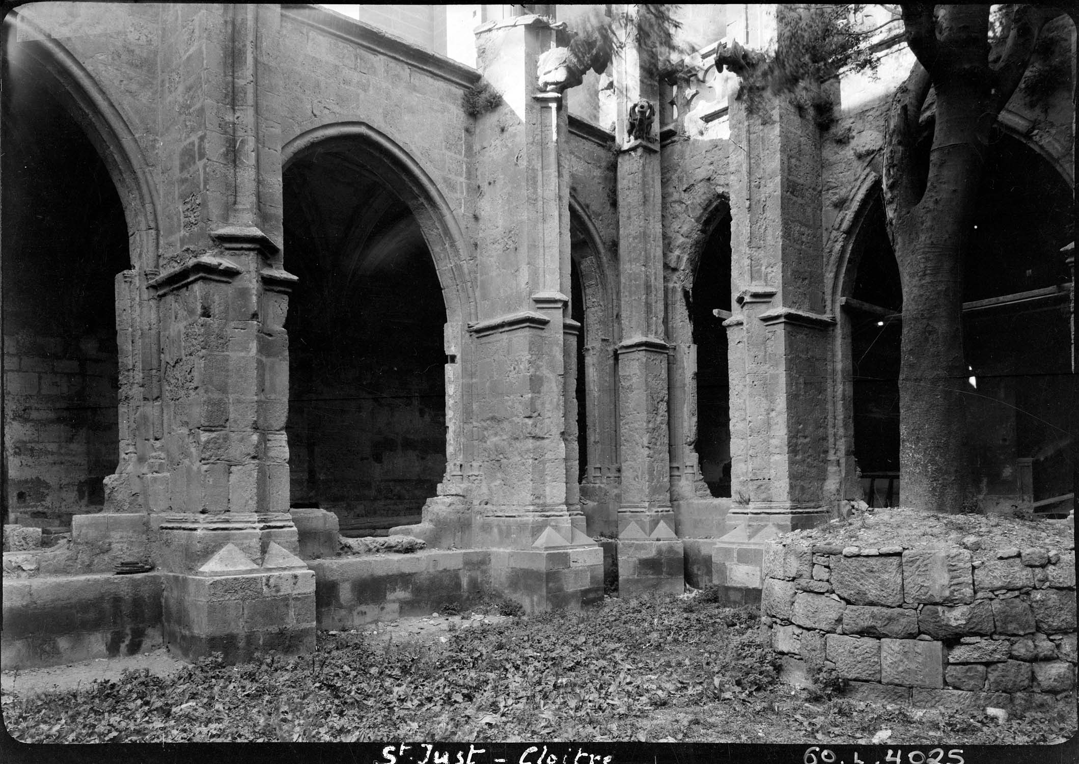 Cloître : vue partielle d’un angle