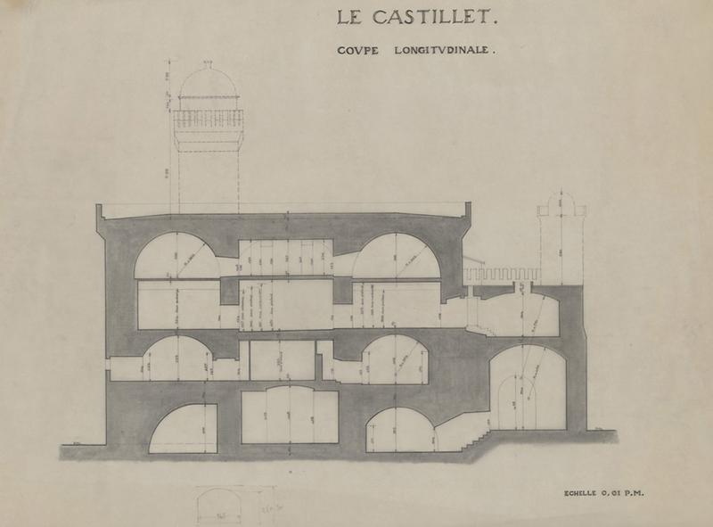 Coupe longitudinale.