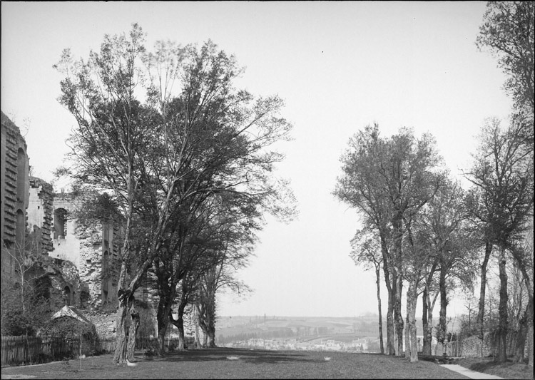 Revers de la façade : ruines donnant sur une allée d’arbres