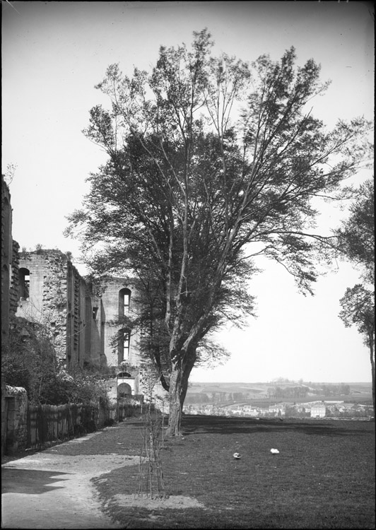 Revers de la façade : ruines donnant sur une allée d’arbres