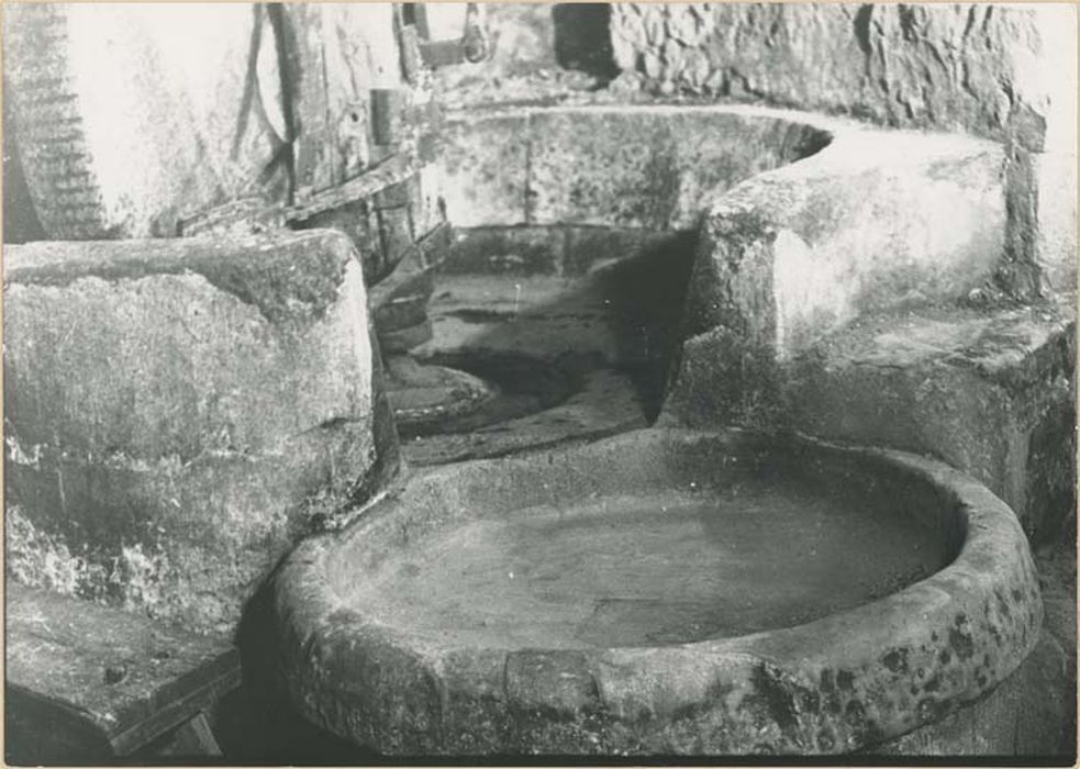 machine à extraire des fluides (moulin à olives et son mécanisme)