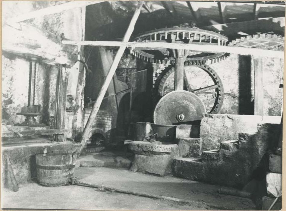 machine à extraire des fluides (moulin à olives et son mécanisme)