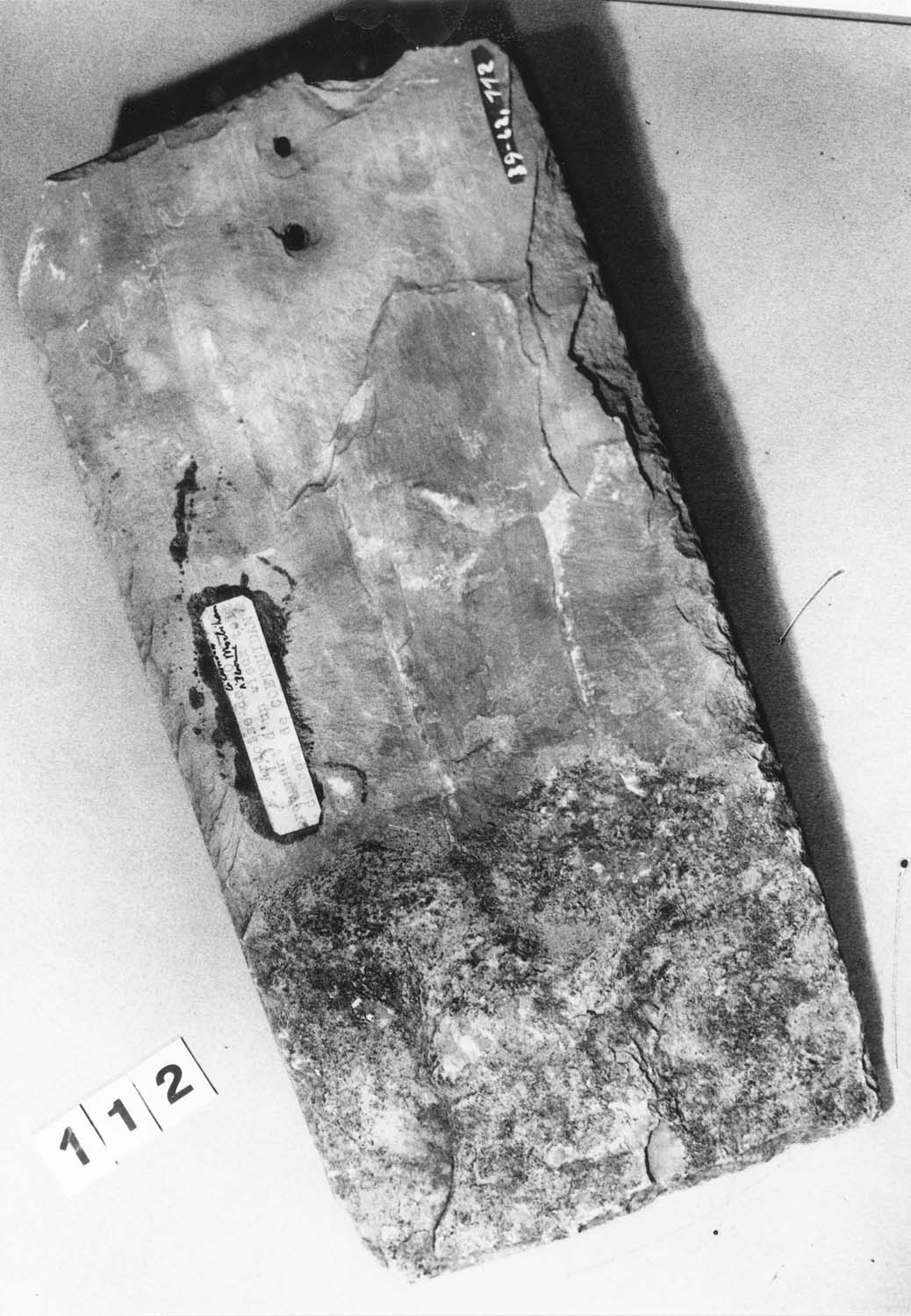 Ardoise ancienne percée de deux trous avec pureau visible