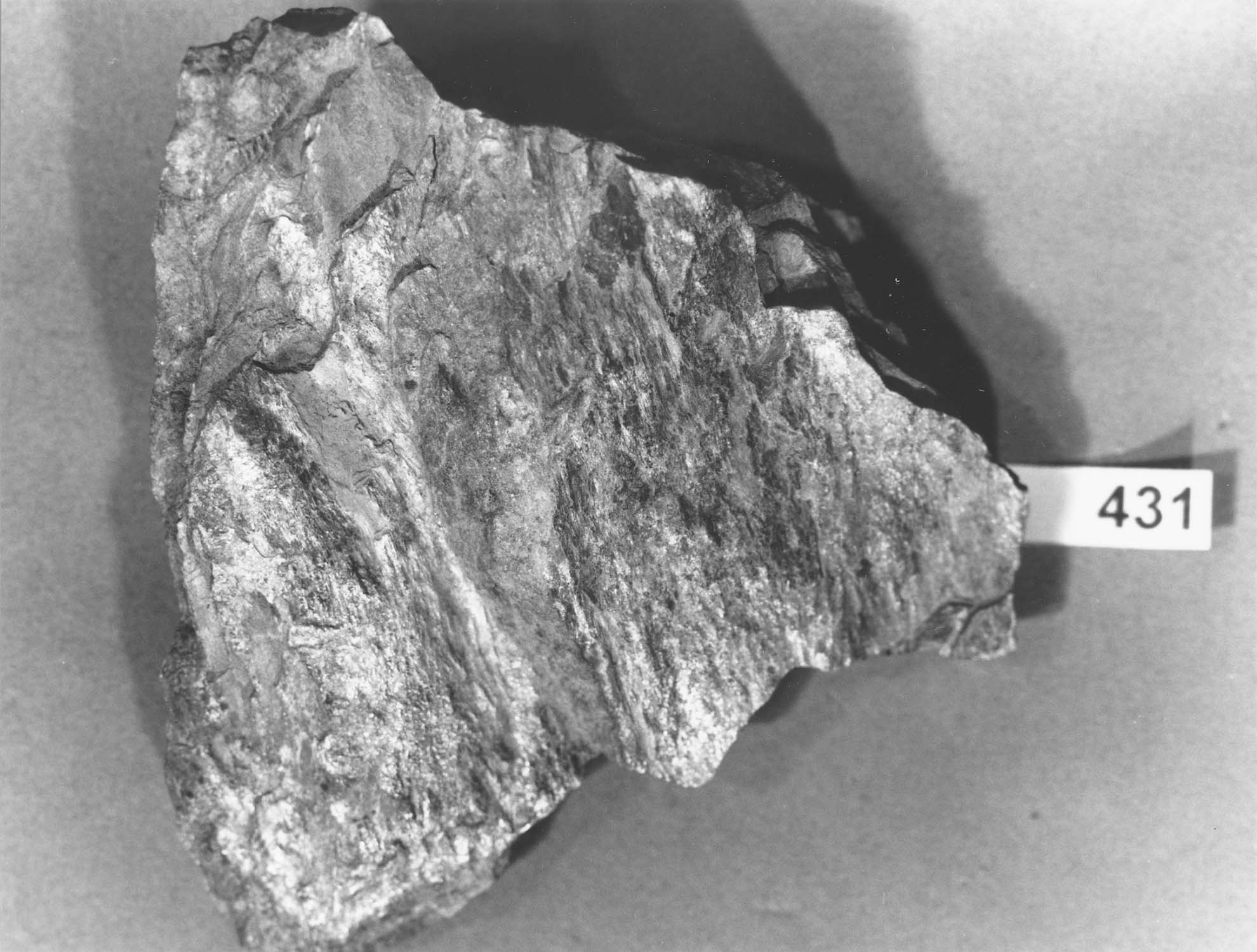 Lauze de schiste