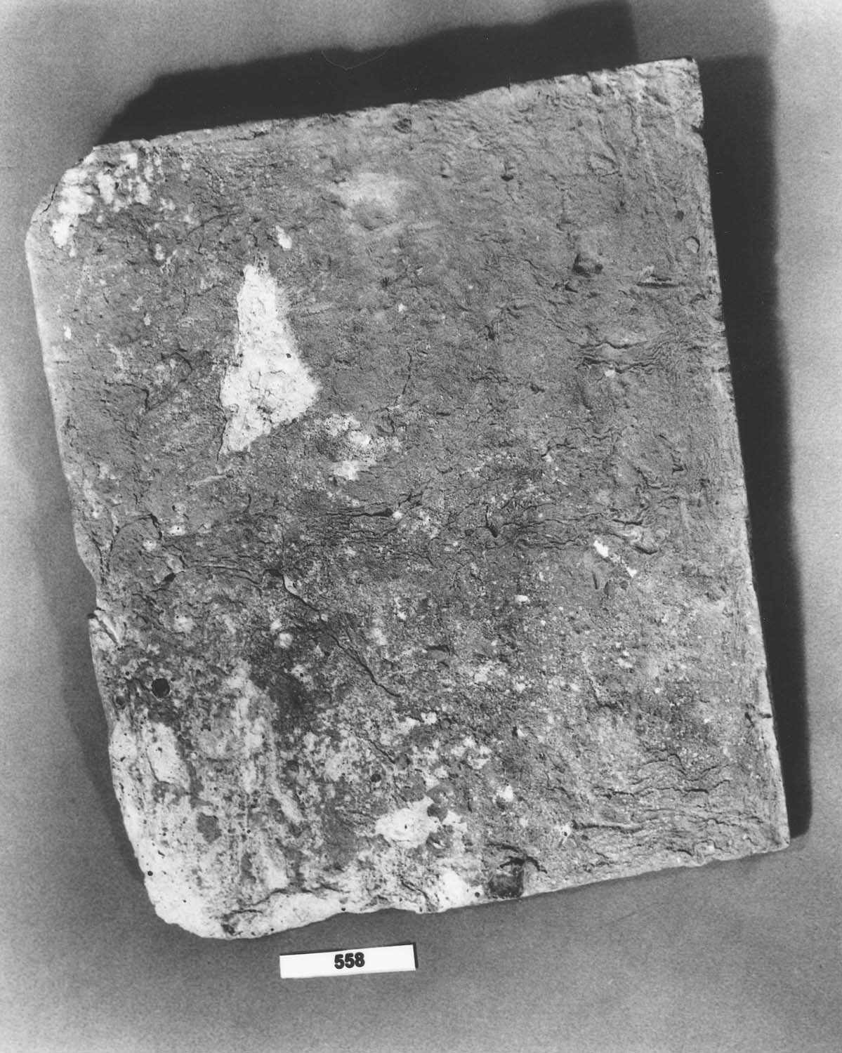 Tuile plate à tenon
