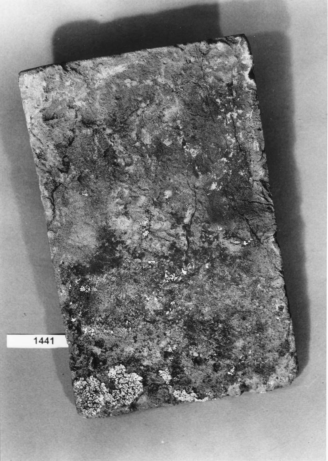 Tuile plate à tenon