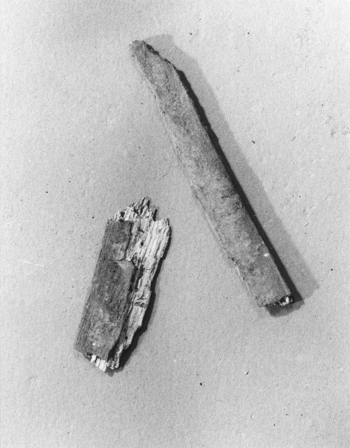 Clous du plafond et fragments de languette