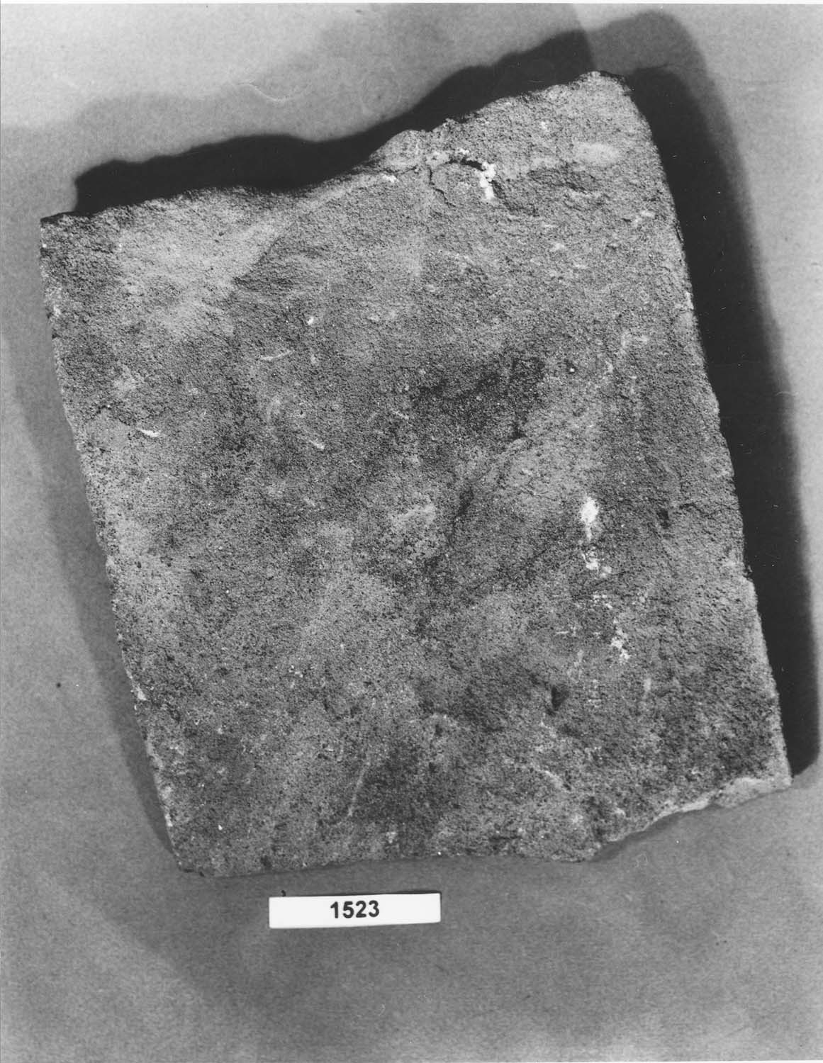 Fragment de tuile ancienne à tenon