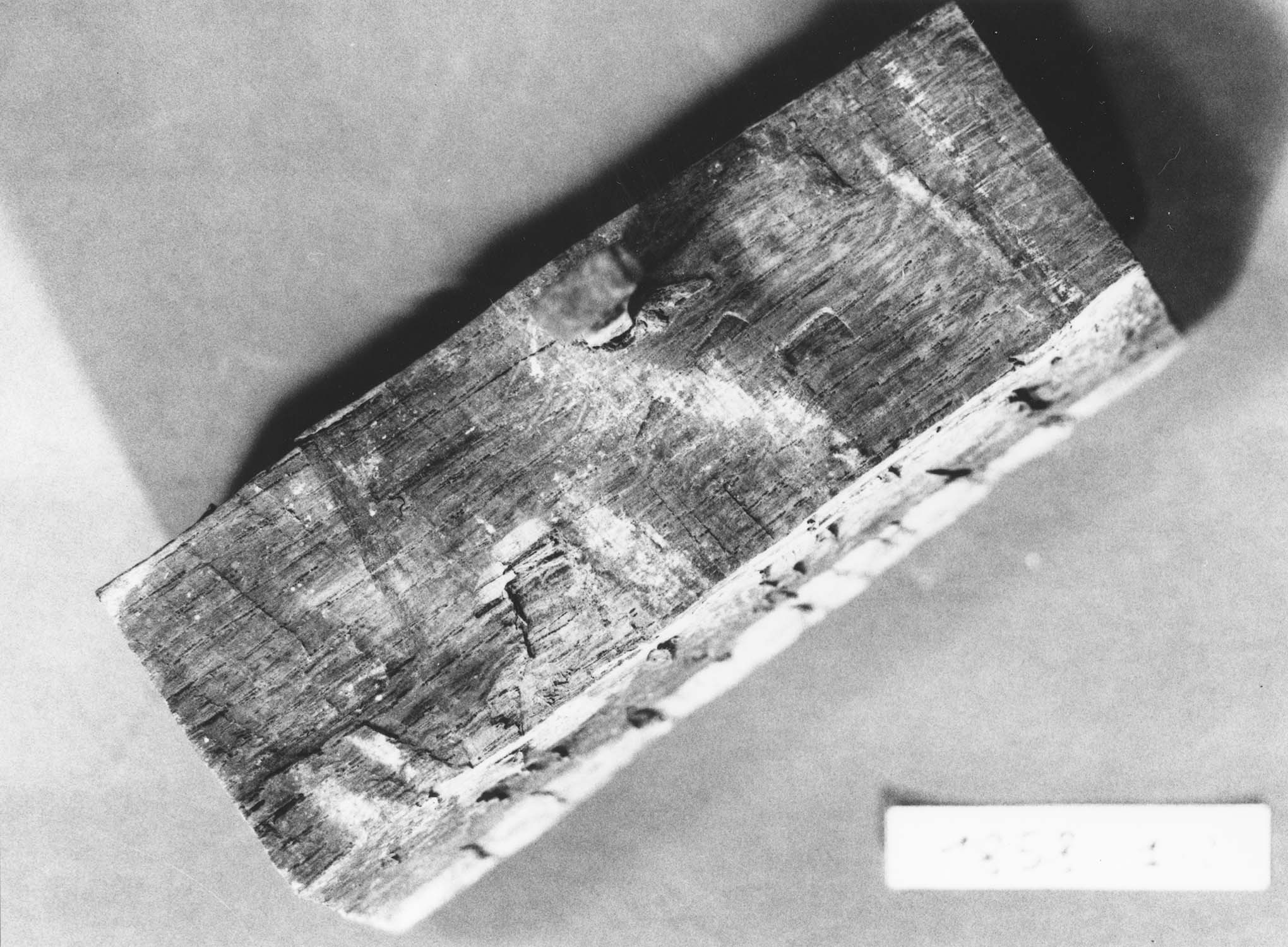 Tampon associé à un clou au revers du tampon