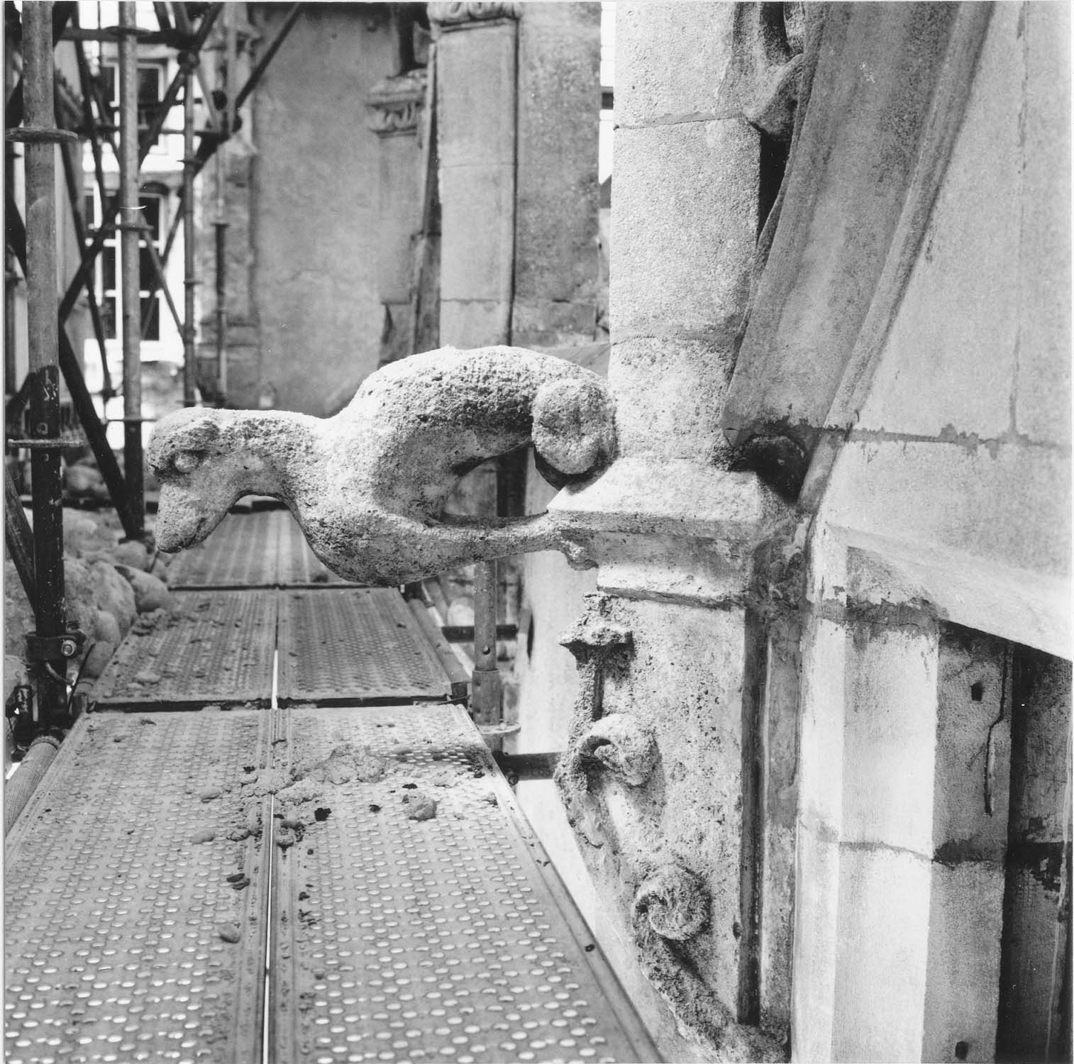 Sculpture d'animal à la base de la couverture. Décor du pied de lucarne à gauche de la façade ouest, côté gauche, gargouille vue vers le nord