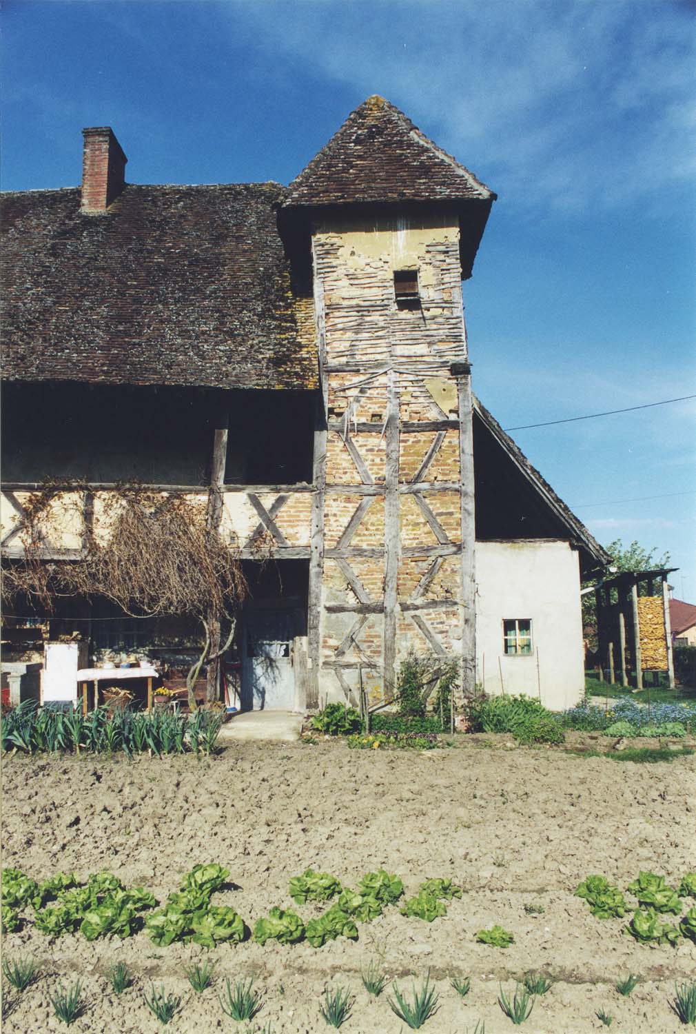 Partie nord de la façade est ; construction à pans de bois