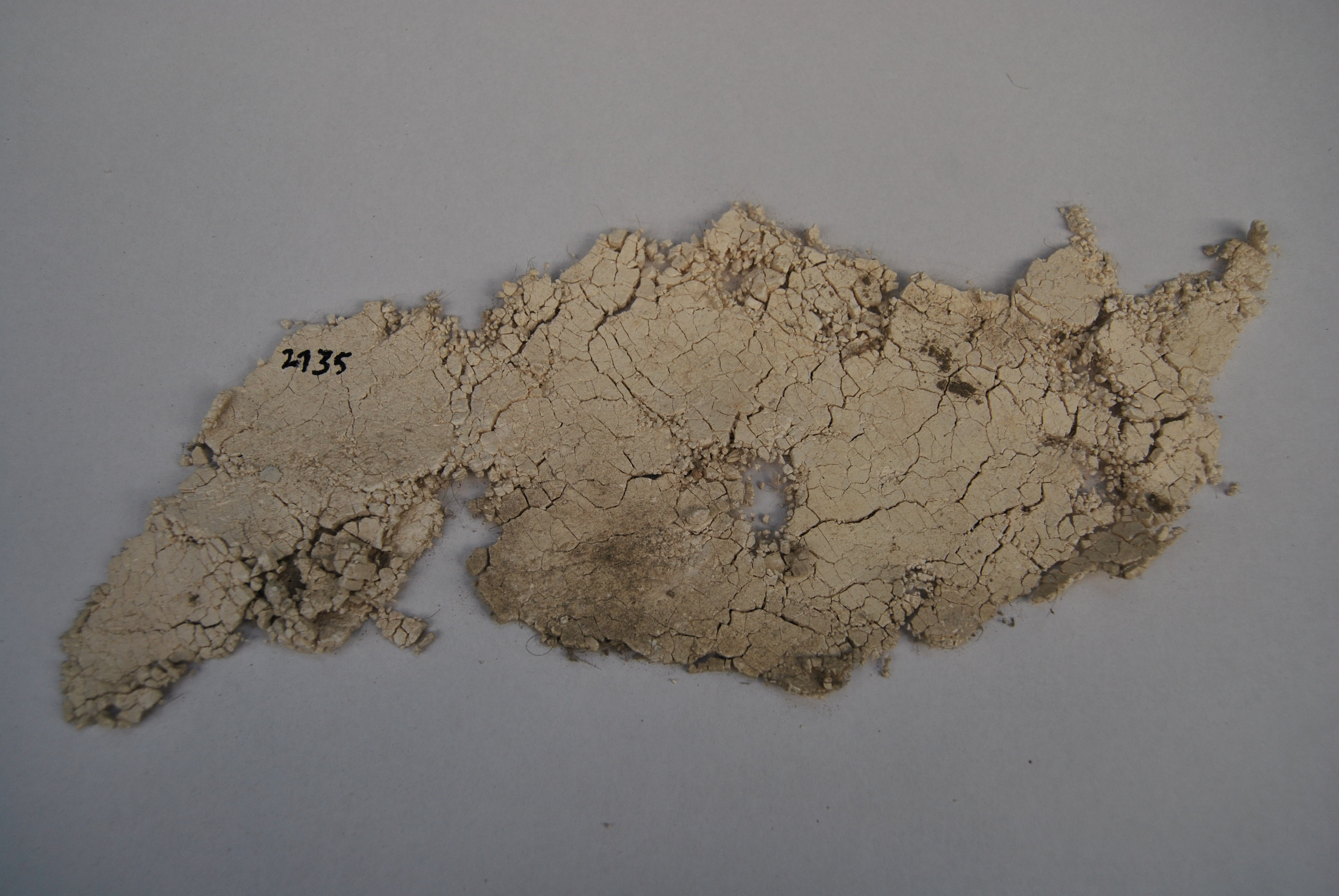Fragment d’enduit pour liaison mur, plafond