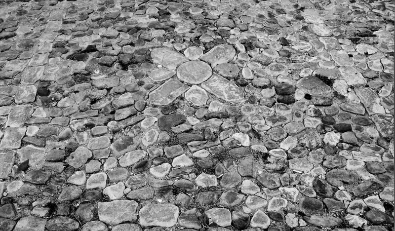 Calade, détail d'un motif floral du parvis de la cathédrale