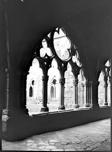 Cloître : arcature prise de la galerie