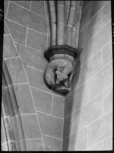 Transept de gauche : culot de retombée de voûte, animal