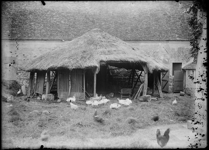 Cour de ferme : poulailler au toit de chaume, volailles