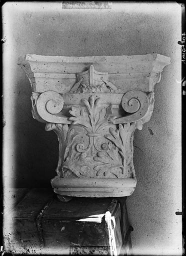 Chapiteau déposé, feuillages