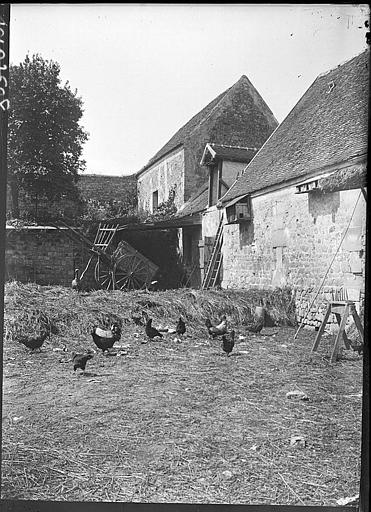 Cour de ferme : volailles, carriole
