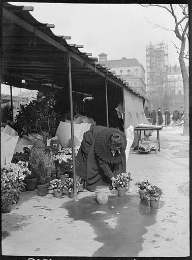 Marché aux fleurs : étalage d'une boutique, marchande