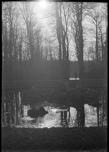 Parc à la nuit tombante, bassin