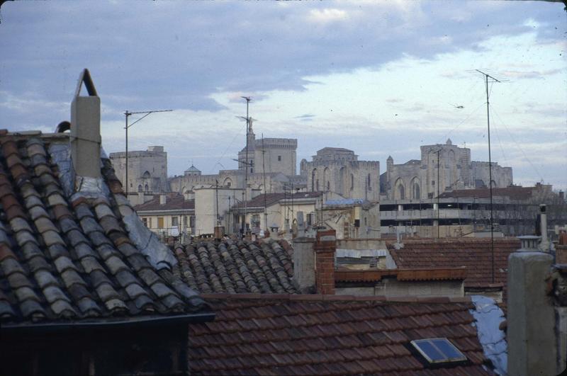 Toits des immeubles et vue sur le Palais des Papes