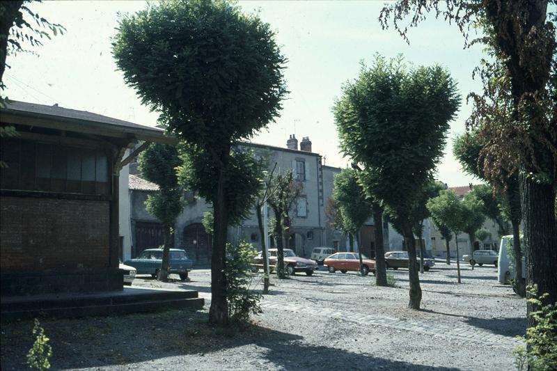Place Poly
