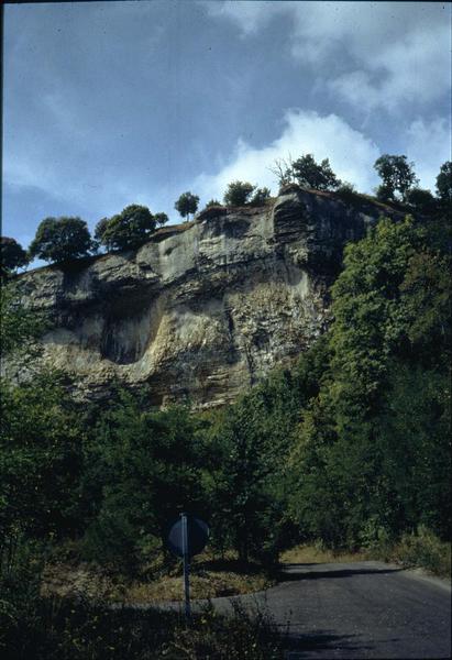 Environs de Dijon : falaise près de Dijon (ancienne carrière)