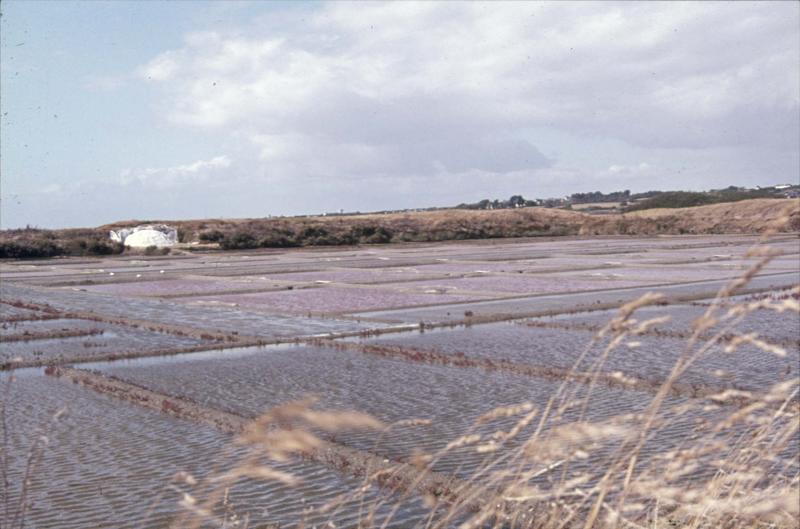 Les marais salants