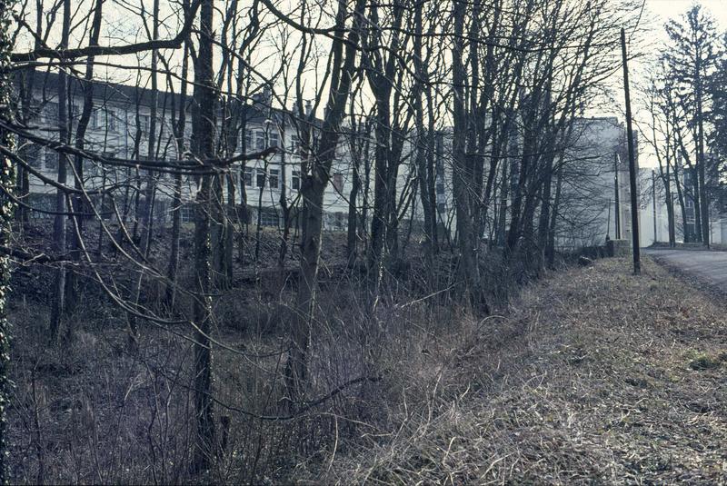 Avenue de la Gare-de-la-Bonnelle : route forestière au sud de la ville et immeuble moderne aux abords
