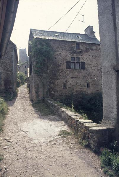 Chemin menant au château