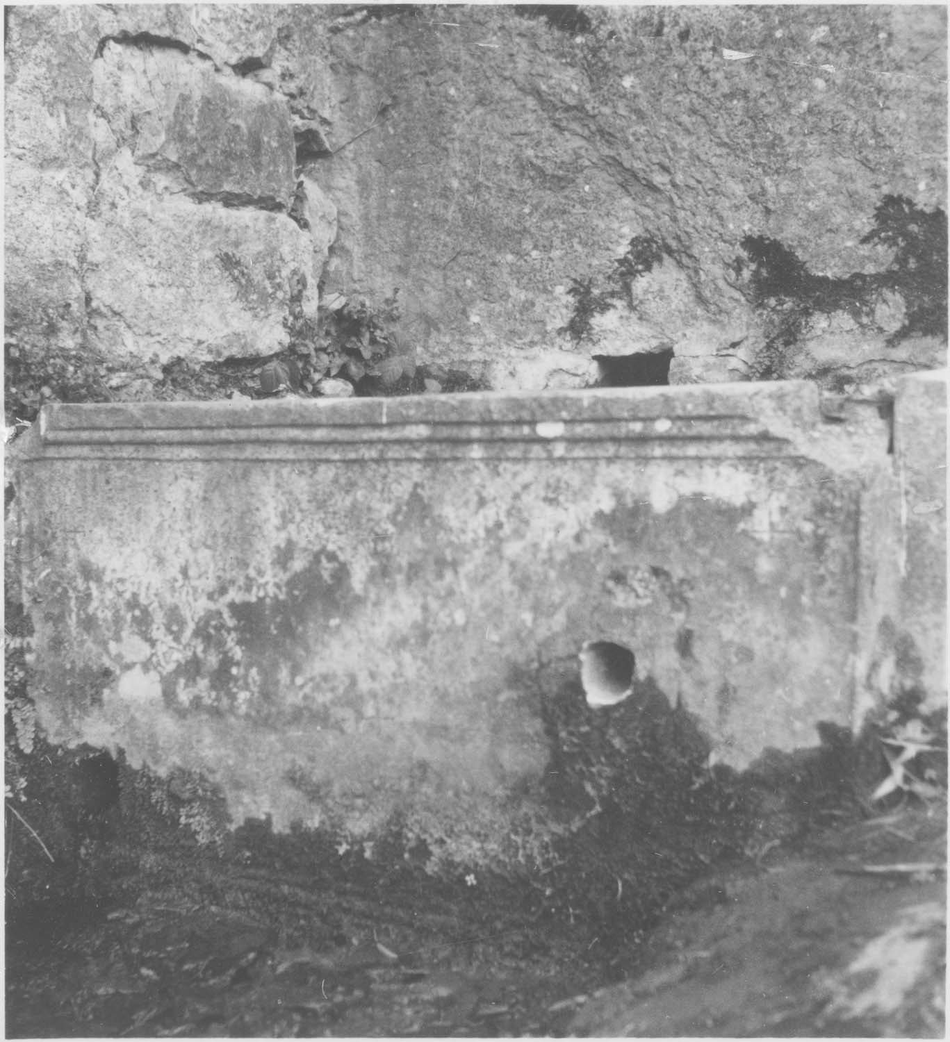 autel, vue générale - © Ministère de la Culture (France), Médiathèque du patrimoine et de la photographie, diffusion RMN-GP
