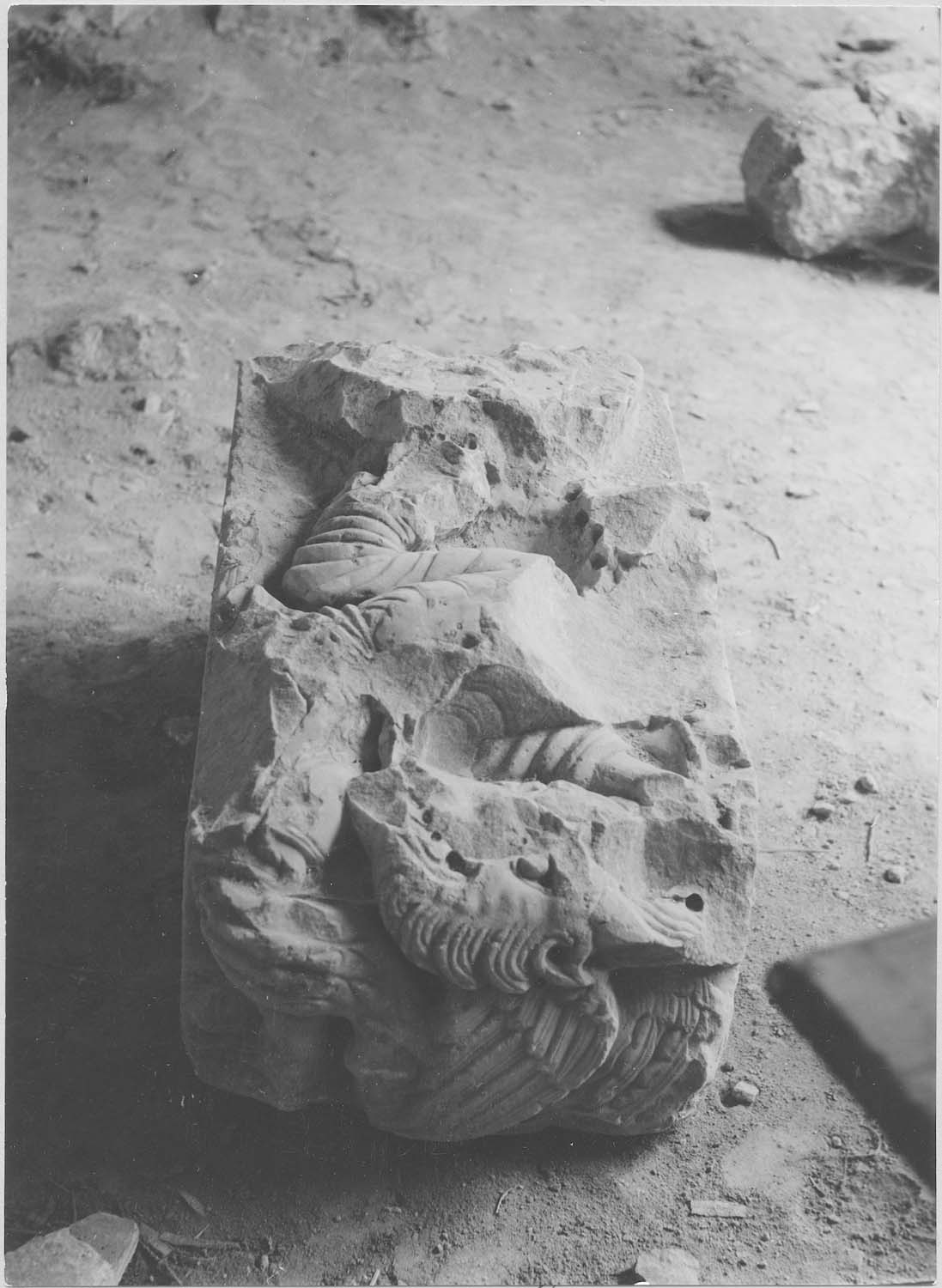 fragment de sculpture, vue générale