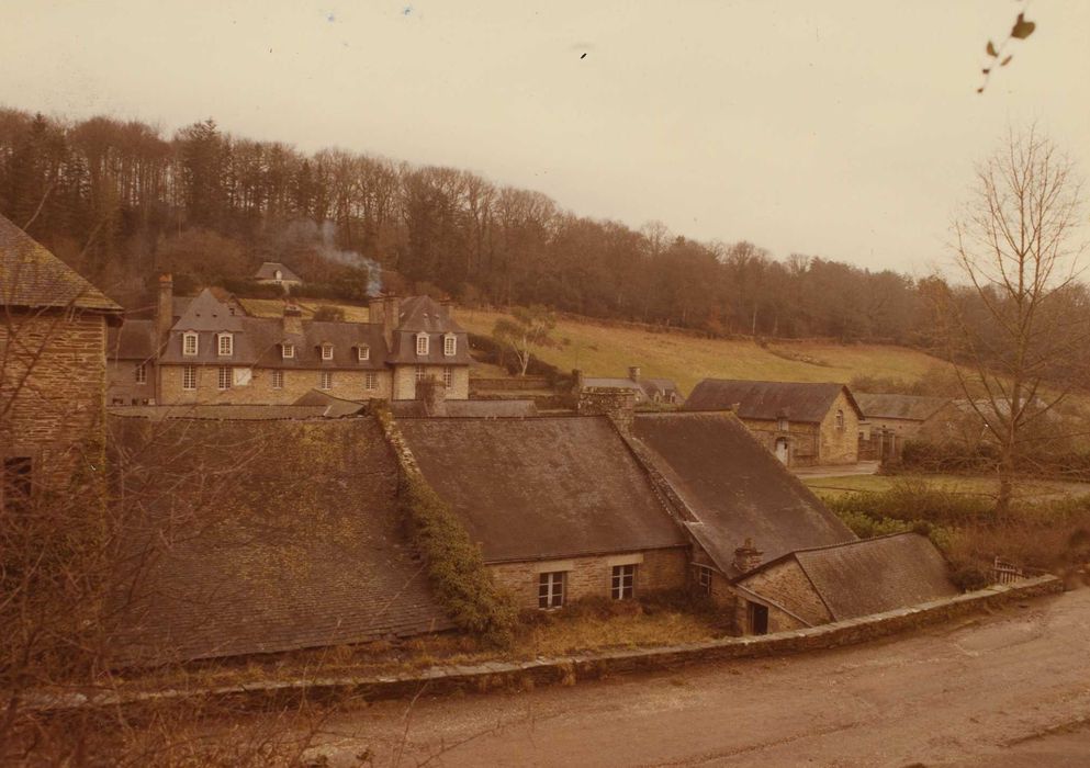 Anciennes forges des Salles (également sur commune de Sainte-Brigitte, dans le Morbihan) : ensemble nord-ouest, vue générale