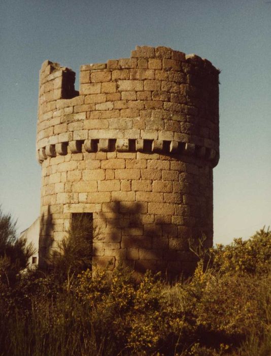 Moulin de la Lande du Crac : vue générale