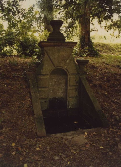 Fontaine des Carmes : Fontaine, vue générale