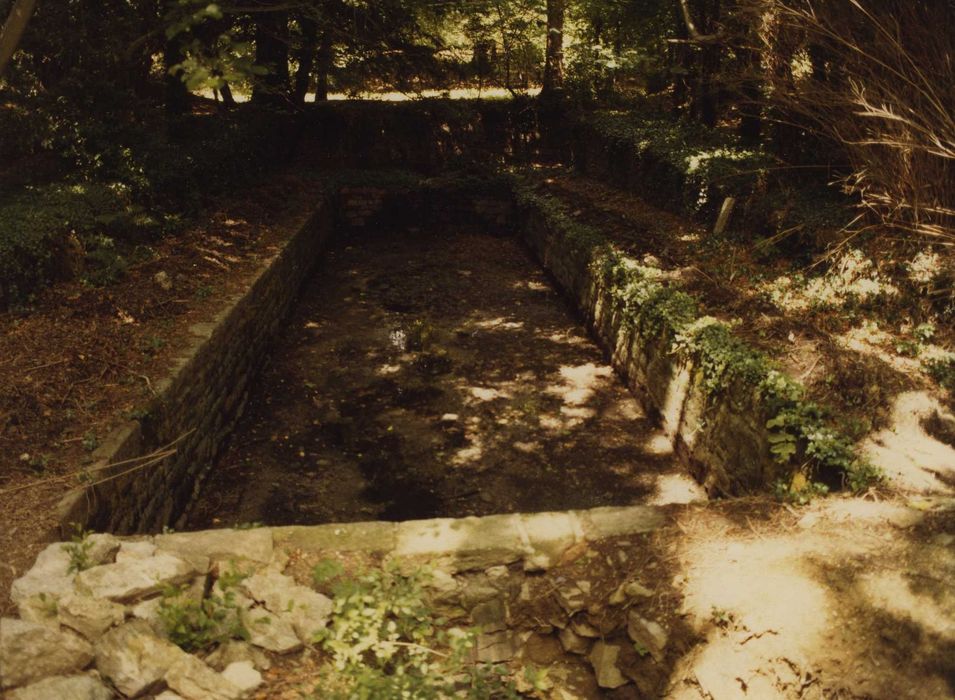 Fontaine des Carmes : Bassin, vue générale