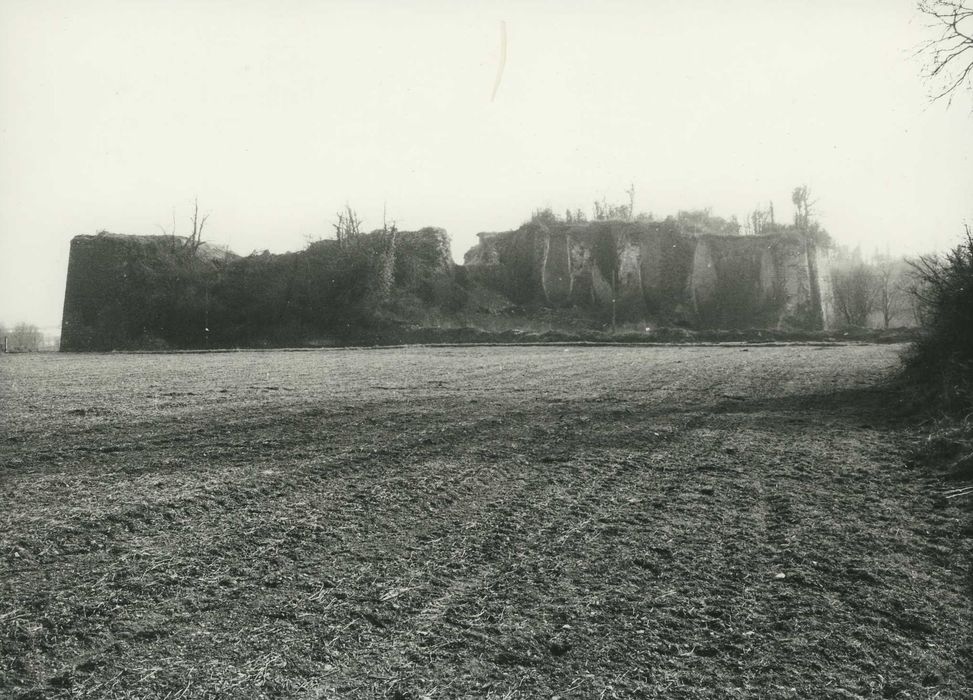 Fours à chaux : Vue générale des ruines