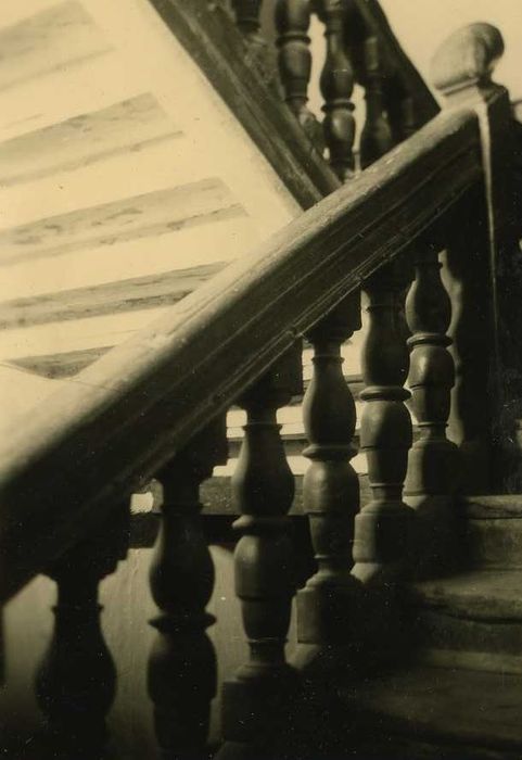 Maison, dite Hôtel de la Louvre ou de la Noue : Escalier monumental, vue partielle