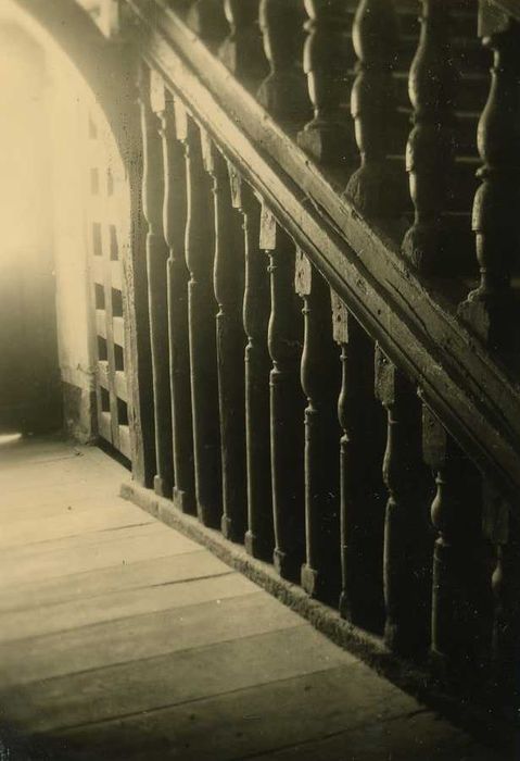 Maison, dite Hôtel de la Louvre ou de la Noue : Escalier monumental, détail de la rampe