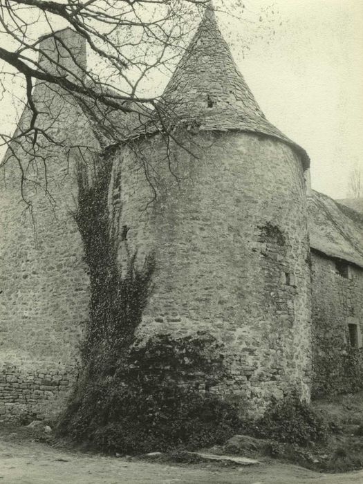 Manoir de Deil : Tour nord-est, vue générale